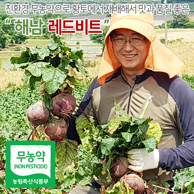 [최상품] 껍질까지 먹는 유기농 레드비트 5KG (8~10개)
