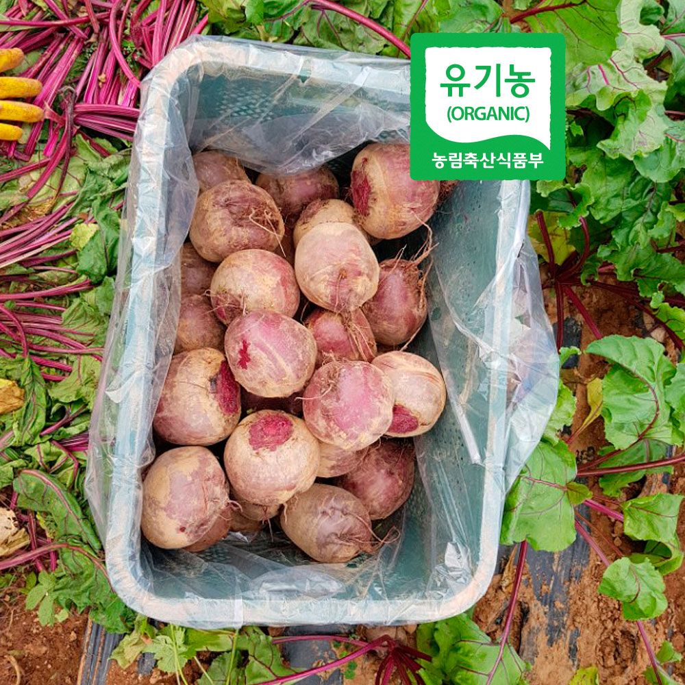 [최상품] 껍질까지 먹는 유기농 레드비트 5kg