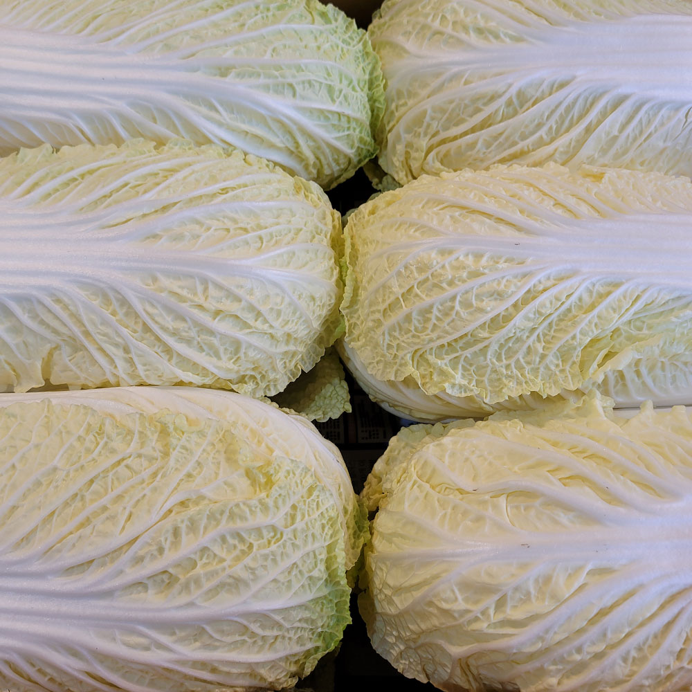 아삭하고 달콤한 땅끝 해남 알배기 쌈배추 6통