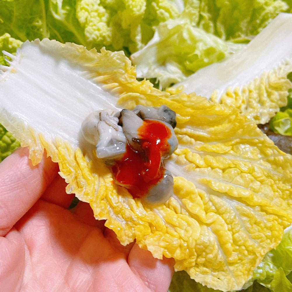 아삭하고 달콤한 땅끝 해남 알배기 쌈배추 6통