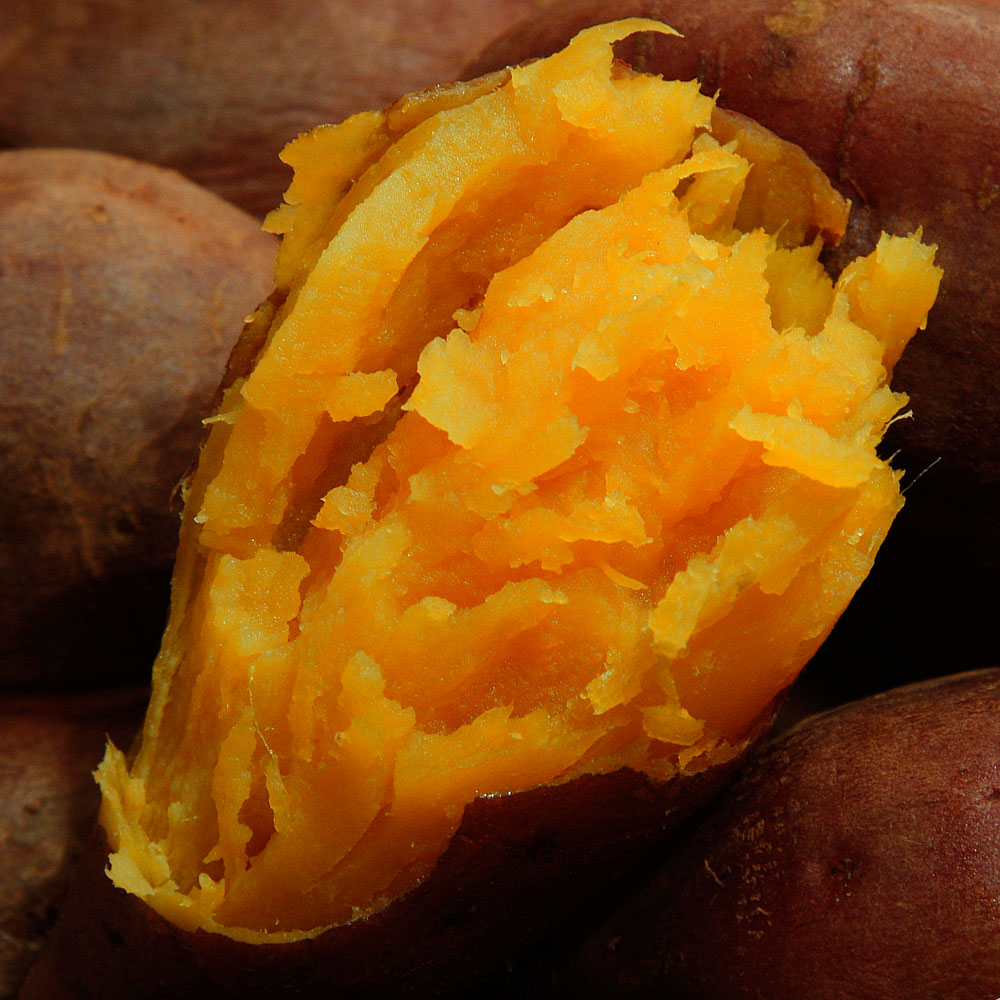 [한입] 해남 황토 호박고구마 10kg